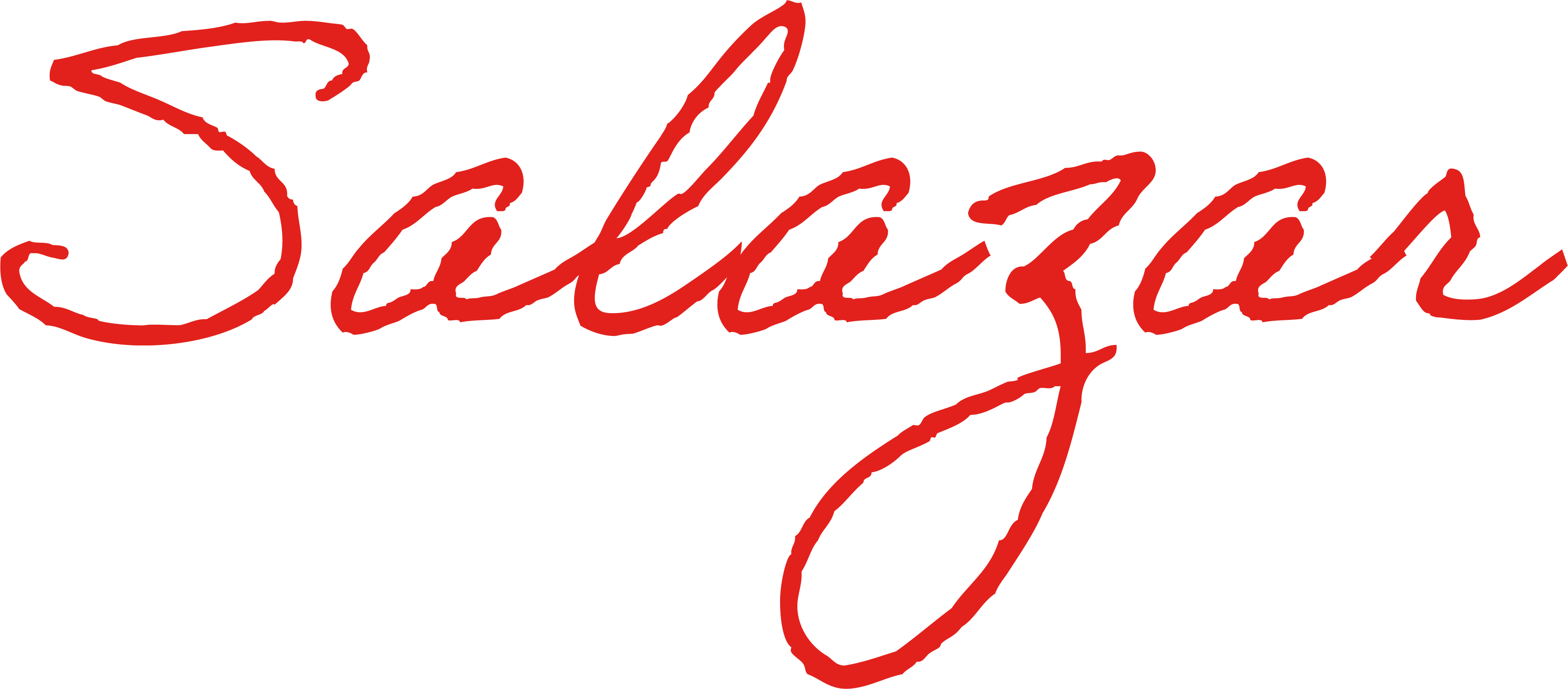 Salazar logo